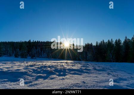 Die letzten Sonnenstrahlen des Tages scheinen durch Baumkronen auf ein Schneefeld Stockfoto