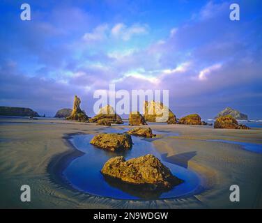 Schroffe Felsformationen entlang der Küste mit Gezeitenbecken im Bandon State Natural Area an der Küste Oregons; Bandon, Oregon, Vereinigte Staaten von Amerika Stockfoto