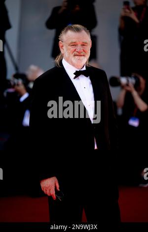 Il Cast di 'The Banshees of Inisherin' sul Red Carpet di Venezia 79, La Biennale di Venezia 2022, Lido di Venezia, Italien Stockfoto