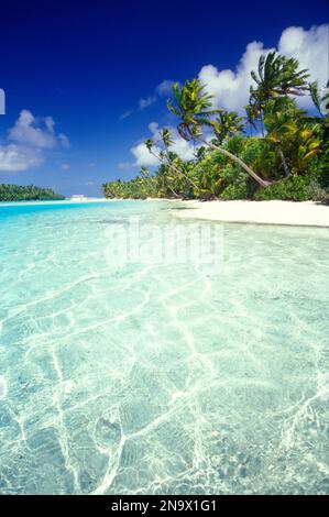 Palmen am weißen Sandstrand von One Foot Island mit türkisfarbenem Meereswasser des Südpazifiks; Cook Islands Stockfoto