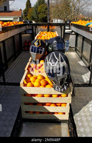 ivrea Karneval, Ledermasken der Aranceri Stockfoto