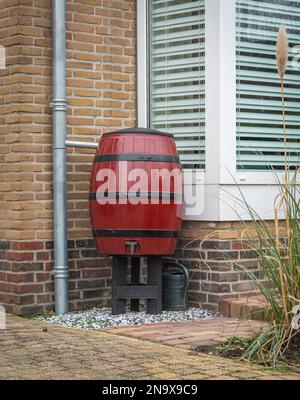 Roter Regenfass mit Ventil und Gießkanne. Sammeln von Regenwasser durch Umleiten eines Abschnitts eines Fallrohrs. Stockfoto