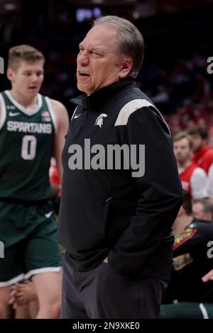 Columbus, Ohio, USA. 12. Februar 2023. Tom Izzo, Cheftrainer der Michigan State Spartaner, reagiert auf einen Ruf während des Spiels zwischen den Michigan State Spartanern und den Ohio State Buckeyes in der Value City Arena, Columbus, Ohio. (Kreditbild: © Scott Stuart/ZUMA Press Wire) NUR REDAKTIONELLE VERWENDUNG! Nicht für den kommerziellen GEBRAUCH! Stockfoto