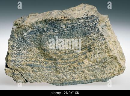 Orthogneiss, Bisti Badlands, New Mexico Stockfoto