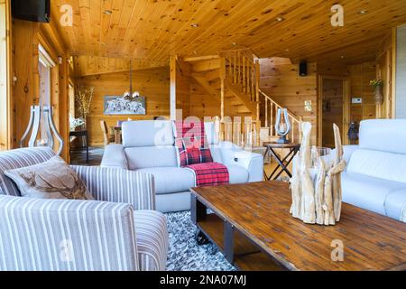 Taupe Ledersofas, grau-weiß gestreifter Stoffsessel, Couchtisch mit Holzplatte und neuseeländischer Wollteppich im Wohnzimmer in der Blockhütte. Stockfoto