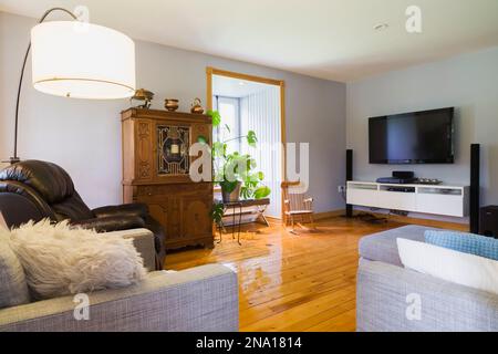 Grauer Polstersessel und Sofa plus brauner Ledersessel, Büfett aus antikem Holz und Musik- und Fernsehunterhaltungszentrum im Wohnzimmer. Stockfoto