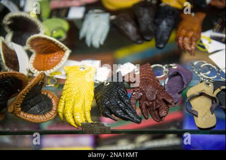 Souvenirs aus den Pfoten von Krokodilarten werden am Flughafen Hanoi in Vietnam verkauft Stockfoto