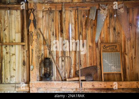 Antike Öllaterne, Heugabel, Schere, Axt, Sägen, Waschbrett und andere Handwerkzeuge hängen an der senkrechten Holzplankenwand in der alten Scheune. Stockfoto