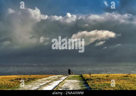 Ein Mann mit zwei Hunden steht am Ufer des Flusses Tyne, während sich in einem sich nähernden Sturm dramatische Sturmwolken bilden Stockfoto