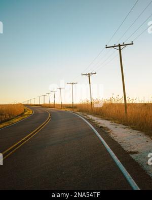 Straße mit Stromleitungen und Strommasten in einem Feuchtgebiet, Holly Beach, Louisiana Stockfoto