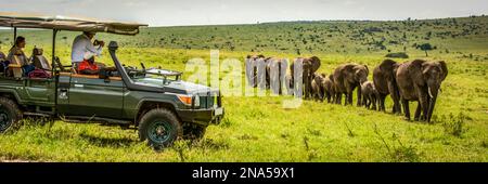 Gäste im Truck beobachten Elefanten (Loxodonta africana), die an Cottar's Safari Camp aus den 1920er Jahren, dem Maasai Mara National Reserve und Kenia vorbeilaufen Stockfoto