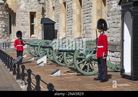 Palastwächter stehen an ihrem Posten, Tower of London; London, England Stockfoto