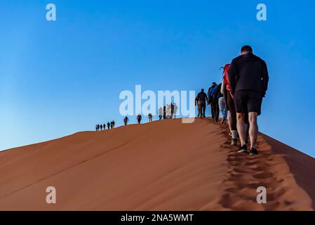 Touristen klettern Dune 45, Sossusvlei, Namib Wüste; Namibia Stockfoto