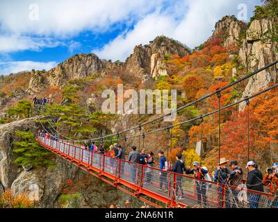 Touristen wandern entlang der berühmten Geumgang Cloud Bridge und der Bergtreppe im Daedunsan Provincial Park und genießen die Herbstfarben im Herbst Stockfoto