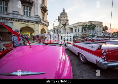 Alte Autos werden im Central Park in Havanna ausgestellt; Havanna, Havanna, Kuba Stockfoto