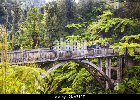 Touristen stehen auf der Bridge to Nowhere, Whanganui National Park; Manawatu-Wanganui, Neuseeland Stockfoto