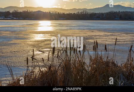 Kendrick Lake Park in Denver, Colorado. Eissee bei Sonnenuntergang mit trockenem Schilf im Vordergrund Stockfoto