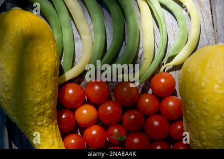 Sommerernte im Gemüsegarten (Sommerkürbis, Kirschtomaten und grüne Bohnen). Stockfoto