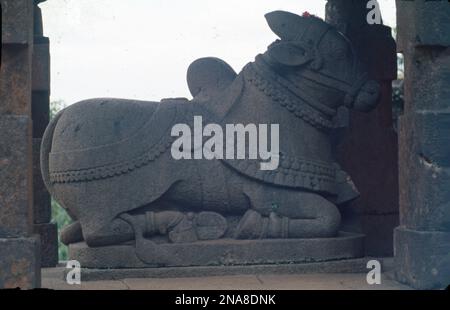 Nandi Lord Shivas Stier, aus Stein geschnitzte Statue vor dem Shiva-Tempel, Mahableshwar, Maharashtra, Indien. Stockfoto