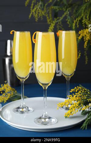 Gläser Mimosa-Cocktail mit blühenden Zweigen auf hellblauem Holztisch Stockfoto