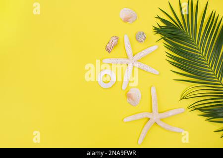 Starfish, shells with palm tree branch in side on yellow background. Concept of summer time, vacation, travel. Copy space Stockfoto
