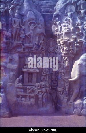 Der Ufertempel ist ein Komplex aus Tempeln und Schreinen mit Blick auf die Küste der Bucht von Bengal. Es befindet sich in Mahabalipuram, etwa 60 km südlich von Chennai in Tamil Nadu, Indien. Es ist ein baulicher Tempel, erbaut aus Granitblöcken aus dem 8. Jahrhundert n. Chr. Die Stätte verfügt über 40 antike Denkmäler und Hindu-Tempel, darunter die Abfahrt des Ganges oder Arjuna's Penance – eines der größten Freiluft-Felsgestein der Welt. Die Anlage besteht aus drei separaten Schreinen: Zwei dem gott Shiva gewidmet und einer Vishnu. Stockfoto