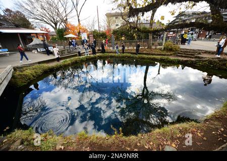 Wakuike-Teich an den Oshino-Hakkai-Quellen in der japanischen Präfektur Yamanashi. Stockfoto