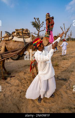 Rajput-Mann singt für sein Kamel in der Thar-Wüste Rajasthan, Indien Stockfoto