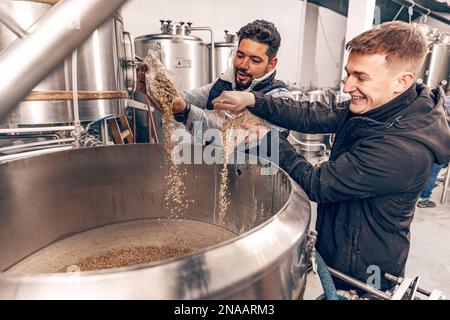 Braumeister schütten Malzkorn in ein Fass, um Bier zu brühen Stockfoto