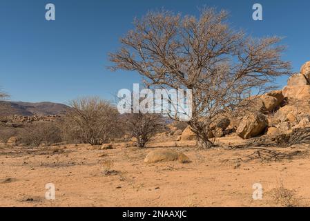 Die Landschaft des Erongo-Gebirges in Namibia Stockfoto