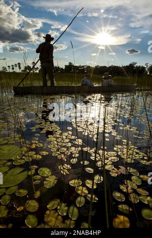 MODELL VERÖFFENTLICHT: Mocorro, traditionelles Kanu, Wasserlilien (Nymphaea nouchali, Xigera Camp, Wilderness Safaris, Moremi Game Reserve, Okavango Delta, Bot Stockfoto