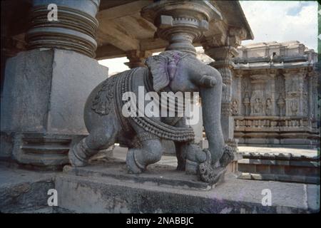 Die Tempelstrukturen in Halebidu sind voller schöner Schnitzereien, in denen verschiedene Tänzer Vögel und Tiere darstellen. Der Ort wird bewundert für seine komplexe Hoysala Architektur, winzige und komplexe Schnitzereien, die detailreich verzierten Tempel, erstaunliche Skulpturen mit metallartiger Politur und vieles mehr. An den Wänden befinden sich etwa tausend Figuren, die Szenen von Mahabharata und Ramayana darstellen. Der Tempel wurde als herausragendes Beispiel für hinduistische Architektur beschrieben. Stockfoto