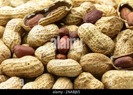 Schalen-Erdnussansammlung mit Nahaufnahme des Hintergrunds Stockfoto
