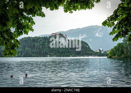 Bled See mit einer Bled Burg auf dem Felsen und der Kirche Zupnijska cerkev svetega Martina, Bled, mit einem Vordergrund von schwimmenden Menschen Stockfoto