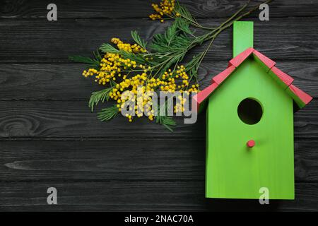 Wunderschönes Vogelhaus und Mimosablumen auf schwarzem Holztisch, flach liegend. Platz für Text Stockfoto