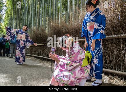 Junge Frauen in traditionellen Kleidern im Sagano Forest Grove in Kyoto. Der Hain ist eine der meistfotografierten Sehenswürdigkeiten der Stadt. Es liegt nordwestlich Stockfoto