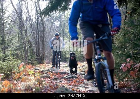 Mountainbiker und ihr Hund auf einem felsigen Trail in West Virginia, USA; West Virginia, Vereinigte Staaten von Amerika Stockfoto