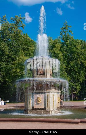 St. Petersburg, Russland - 20. August 2022: Römischer Brunnen in Peterhof Stockfoto