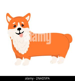 Corgi-Hunde-Vektor-Zeichentrickfilm. Süßes, freundliches welsh Corgi Hündchen sitzt, lächelt mit der Zunge heraus isoliert auf weiß. Haustiere, Tiere, Hundemotiv Stock Vektor
