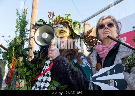 Ashingdon Road, Rochford, Southend on Sea, Essex, Großbritannien. 13. Februar 2023. Die Demonstranten haben versucht, eine alte Eiche vor dem Fällen zu schützen, um Platz für den Zugang zu einem 662-Immobilien-Wohnungsbau von Bloor Homes zu schaffen. Nach einer langen Wahlkampfphase wurde die Erlaubnis erteilt, heute mit der Entfernung des holt Farm Eiche Tree zu beginnen. Die Demonstranten hatten den Baum umstellt, wobei einer in den Ästen kampierte, haben jedoch beschlossen, in Frieden zu protestieren, nachdem gegen sie ein Verfahren vor dem Obersten Gerichtshof anhängig war. Sie glauben, der rat habe es vermieden, Alternativen zu erörtern Stockfoto