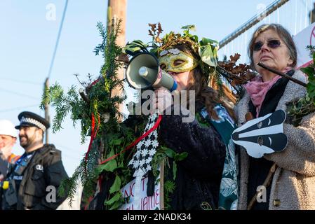 Ashingdon Road, Rochford, Southend on Sea, Essex, Großbritannien. 13. Februar 2023. Die Demonstranten haben versucht, eine alte Eiche vor dem Fällen zu schützen, um Platz für den Zugang zu einem 662-Immobilien-Wohnungsbau von Bloor Homes zu schaffen. Nach einer langen Wahlkampfphase wurde die Erlaubnis erteilt, heute mit der Entfernung des holt Farm Eiche Tree zu beginnen. Die Demonstranten hatten den Baum umstellt, wobei einer in den Ästen kampierte, haben jedoch beschlossen, in Frieden zu protestieren, nachdem gegen sie ein Verfahren vor dem Obersten Gerichtshof anhängig war. Sie glauben, der rat habe es vermieden, Alternativen zu erörtern Stockfoto