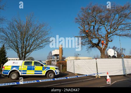 Ashingdon Road, Rochford, Southend on Sea, Essex, Großbritannien. 13. Februar 2023. Die Demonstranten haben versucht, eine alte Eiche vor dem Fällen zu schützen, um Platz für den Zugang zu einem 662-Immobilien-Wohnungsbau von Bloor Homes zu schaffen. Nach einer langen Wahlkampfphase wurde die Erlaubnis erteilt, heute mit der Entfernung des holt Farm Eiche Tree zu beginnen. Die Demonstranten hatten den Baum umstellt, wobei einer in den Ästen kampierte, haben jedoch beschlossen, in Frieden zu protestieren, nachdem gegen sie ein Verfahren vor dem Obersten Gerichtshof anhängig war. Sie glauben, der rat habe es vermieden, Alternativen zu erörtern Stockfoto