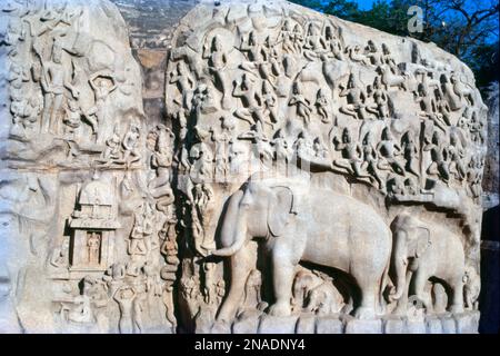 Der Ufertempel ist ein Komplex aus Tempeln und Schreinen mit Blick auf die Küste der Bucht von Bengal. Es befindet sich in Mahabalipuram, etwa 60 km südlich von Chennai in Tamil Nadu, Indien. Es ist ein baulicher Tempel, erbaut aus Granitblöcken aus dem 8. Jahrhundert n. Chr. Die Stätte verfügt über 40 antike Denkmäler und Hindu-Tempel, darunter die Abfahrt des Ganges oder Arjuna's Penance – eines der größten Freiluft-Felsgestein der Welt. Die Anlage besteht aus drei separaten Schreinen: Zwei dem gott Shiva gewidmet und einer Vishnu. Stockfoto