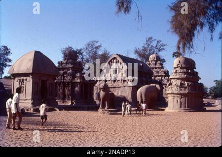 Der Ufertempel ist ein Komplex aus Tempeln und Schreinen mit Blick auf die Küste der Bucht von Bengal. Es befindet sich in Mahabalipuram, etwa 60 km südlich von Chennai in Tamil Nadu, Indien. Es ist ein baulicher Tempel, erbaut aus Granitblöcken aus dem 8. Jahrhundert n. Chr. Die Stätte verfügt über 40 antike Denkmäler und Hindu-Tempel, darunter die Abfahrt des Ganges oder Arjuna's Penance – eines der größten Freiluft-Felsgestein der Welt. Die Anlage besteht aus drei separaten Schreinen: Zwei dem gott Shiva gewidmet und einer Vishnu. Stockfoto