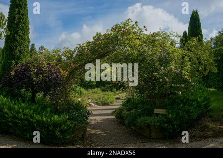 Rosenbedeckter Gartenbogen am Jardin d'Elle Stockfoto