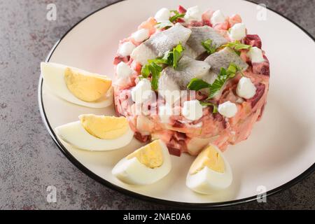 Heringssalat mit Rüben, Apfel, Kartoffeln und Zwiebeln in Nahaufnahme auf einem Teller auf dem Tisch. Horizontal Stockfoto