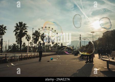 Seifenblasen, Passeig de Colom, Moll de la Fusta, Barcelona, Spanien © Dosfotos/Axiom Stockfoto