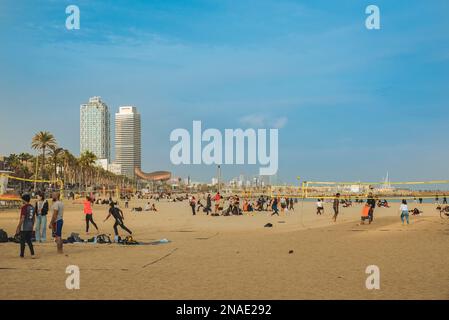 Beachvolleyball und Sonnenbaden am Strand Barceloneta in Barcelona, Spanien; Barcelona, Spanien Stockfoto