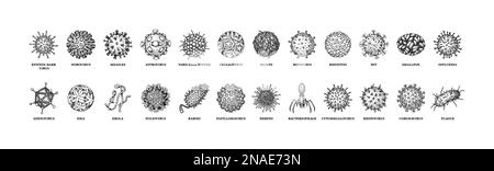 Viren mit Namen isoliert auf weißem Hintergrund. Verschiedene Typen mikroskopischer Mikroorganismen. Vektordarstellung im Skizzenstil Stock Vektor