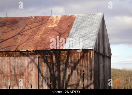 Verrostete Scheune mit verrostetem Zinndach und Baumschatten im Herbst Stockfoto